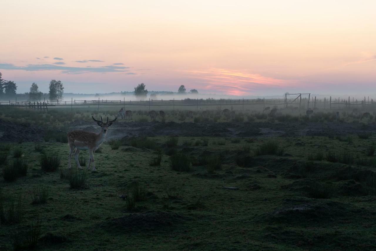 Dolina Dębów Sosnowka (Biala Podlaska) Exterior foto