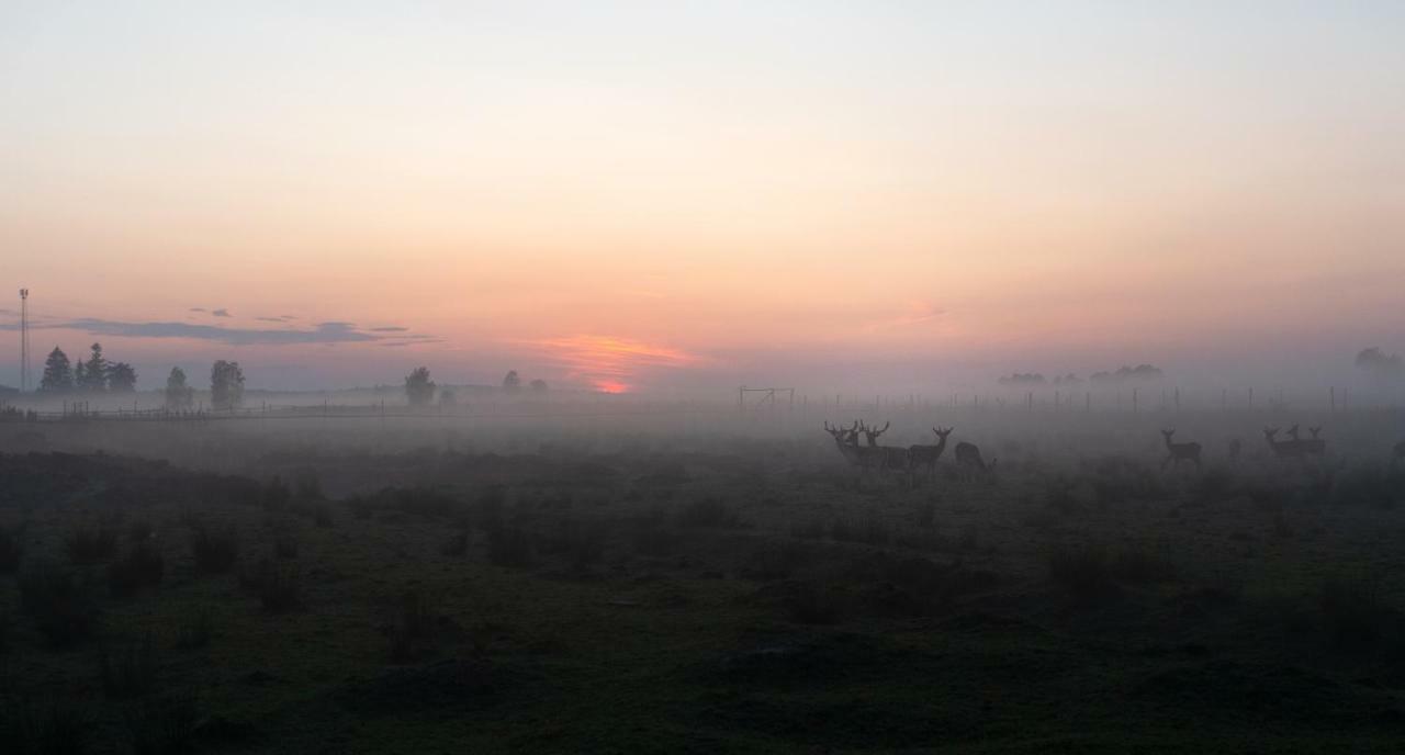 Dolina Dębów Sosnowka (Biala Podlaska) Exterior foto